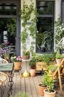 Çiçek ve bitkilerle dolu güzel bir kır evi.