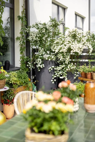 Prachtige Achtertuin Van Landhuis Met Veel Bloemen Planten — Stockfoto