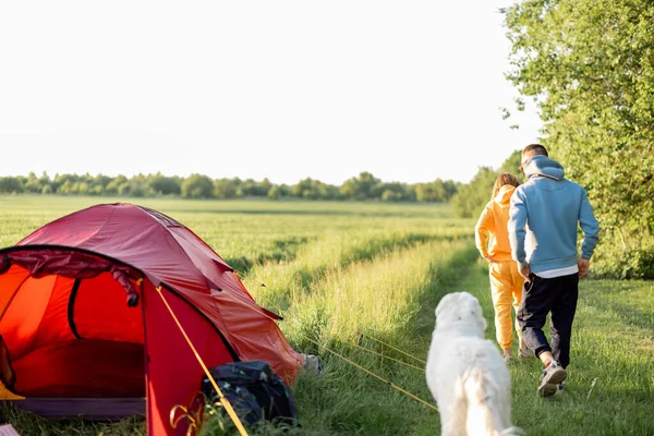 若いカップルは犬と一緒に歩き 自然の中でテントと一緒に旅行しながら夏の時間を楽しく過ごします 日没時の緑のフィールド上のキャンプ場 — ストック写真