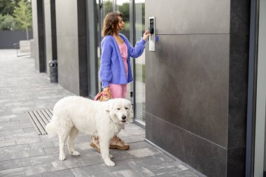 Genç, şık bir kadın akıllı telefonu dahili telefona bağlayıp köpeğiyle ayakta durarak binaya giriyor. Erişim ve akıllı ev için modern güvenlik teknolojileri kavramı