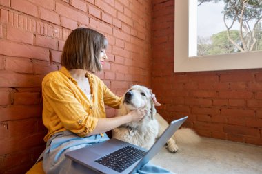Genç bir kadın dizüstü bilgisayarda çalışırken sevimli köpeğiyle evde tuğla duvar arkasında oturuyor. Evden çalışmak ve evcil hayvan konseptiyle arkadaşlık