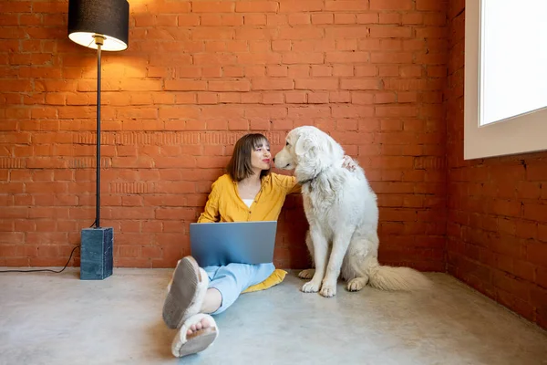 年轻的女人在笔记本电脑上工作 而她与她可爱的狗坐在砖墙的背景下在家里 在家工作和与宠物的友谊概念 — 图库照片