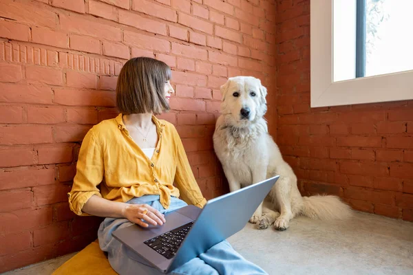 Genç Bir Kadın Dizüstü Bilgisayarda Çalışırken Sevimli Köpeğiyle Evde Tuğla — Stok fotoğraf