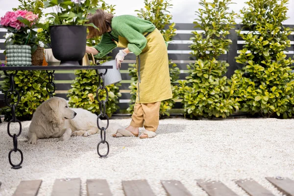 Young Woman Taking Care Flowers Garden Dog Lying Table Concept — Stok fotoğraf
