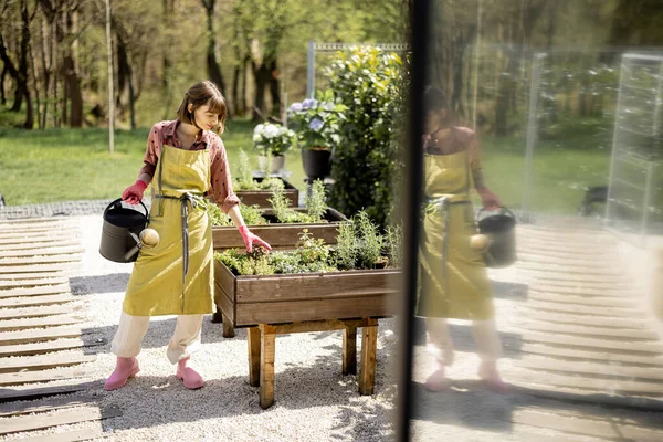 Mujer Joven Cuidando Las Hierbas Que Crecen Jardín Verduras Casa —  Fotos de Stock
