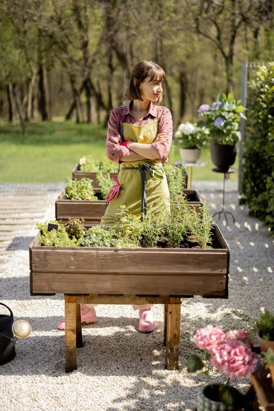 Young Woman Taking Care Herbs Growing Home Vegetable Garden Backyard — Photo
