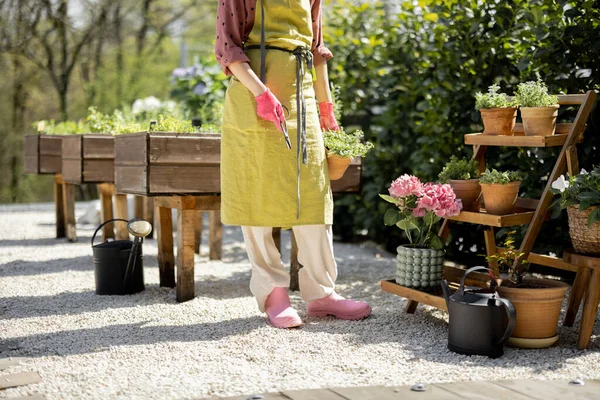 Jardineiro Cuidando Ervas Que Crescem Casa Horta Mulher Avental Botas — Fotografia de Stock