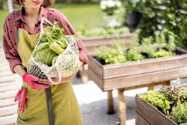 Жінка Тримає Сітчасту Сумку Повну Свіжих Овочів Зелені Саду Обрізаний — стокове фото