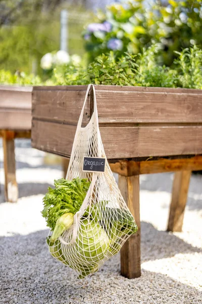 Mesh bag full of fresh vegetables hanging on wooden planter at home garden. Concept of sustainability and organic homegrown food