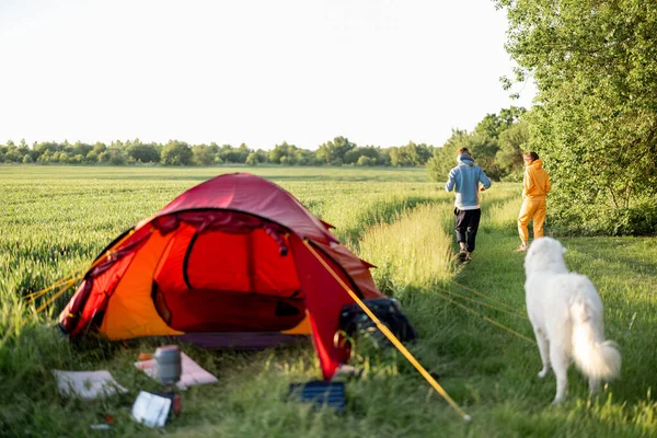 若いカップルは犬と一緒に歩き 自然の中でテントと一緒に旅行しながら夏の時間を楽しく過ごします 日没時の緑のフィールド上のキャンプ場 — ストック写真