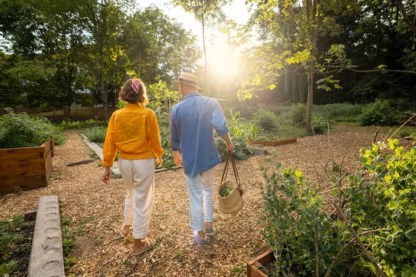 Gente Camina Junta Jardín Casa Durante Puesta Del Sol Amplia —  Fotos de Stock