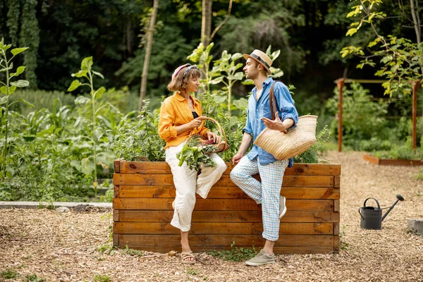 Tarz Sahibi Çiftler Evlerinin Bahçesinde Taze Toplanmış Sebzelerle Yan Yana — Stok fotoğraf