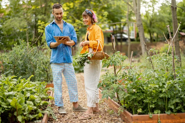 Man Woman Using Digital Tablet While Working Vegetable Home Garden — Stock Photo, Image
