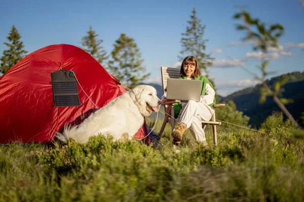 年轻妇女带着帐篷和狗在山上旅行时 在笔记本电脑上工作 带手提式太阳能电池板的充电机悬挂在帐篷上 营地远程工作的概念 — 图库照片
