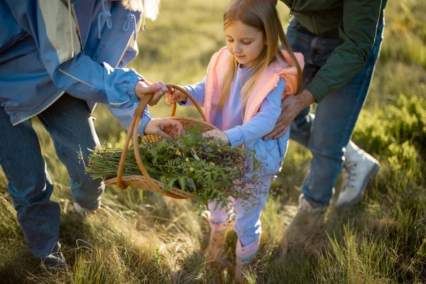 Little Girl Gathers Wildflowers Basket Traveling Her Parents Nature Sunset — Zdjęcie stockowe