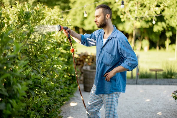 Handsome Guy Watering Green Hedge Garden Husband Take Care Bushes — Stock Photo, Image