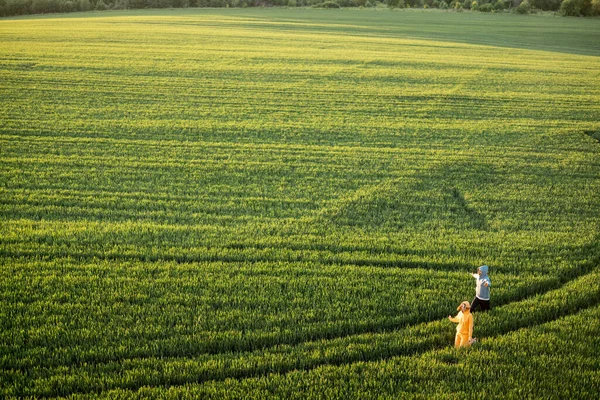 Vista Aérea Sobre Campo Trigo Verde Con Pareja Caminando Por —  Fotos de Stock