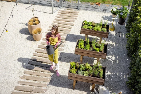 Vue Haut Sur Potager Maison Avec Jardinières Bois Dans Lesquelles — Photo