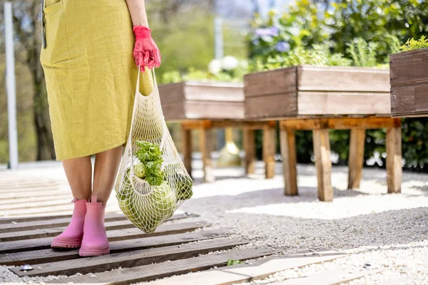 Woman Holding Mesh Bag Full Fresh Vegetables Greens Home Garden — Photo