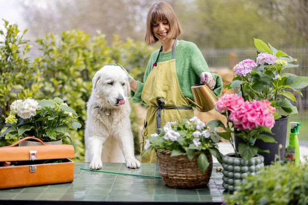 Молода Жінка Грає Своїм Білим Собакою Доглядаючи Рослинами Квітами Саду — стокове фото