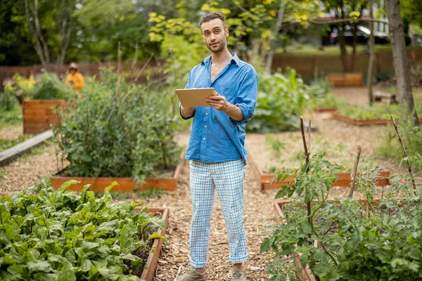 Man Using Digital Tablet While Working Farmer Vegetable Garden Concept — Stok fotoğraf