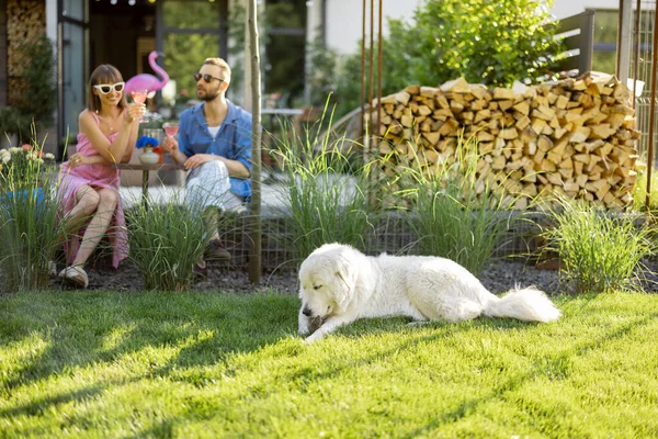 Young Stylish Couple Have Drink While Sitting Together Dog Lawn — ストック写真