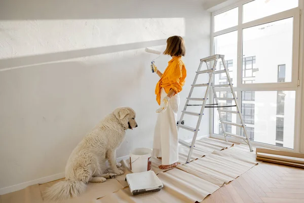 Woman Her Dog Paints Wall White Color Making Repairment Newly — Stok fotoğraf