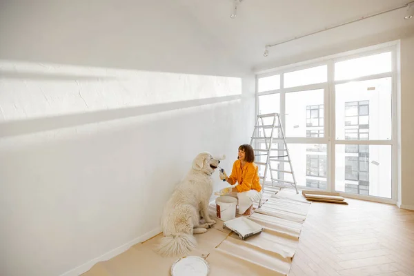 Young Woman Plays Her Dog Room While Making Repairing Apartment — Stock Fotó