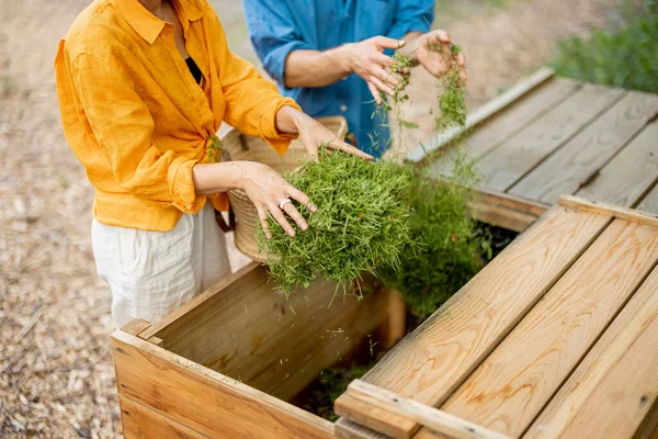 Pareja Joven Lanzando Hierba Cortada Compost Contenedor Madera Para Pudrirse —  Fotos de Stock