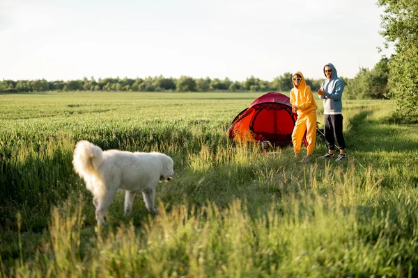 若いカップルは犬と遊んで 自然の中でテントと一緒に旅行しながら夏の時間を楽しく過ごします 日没時のグリーンフィールドの風景 — ストック写真