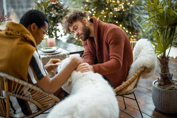 Two Multiracial Male Friends Care Dog While Having Close Conversation — Zdjęcie stockowe