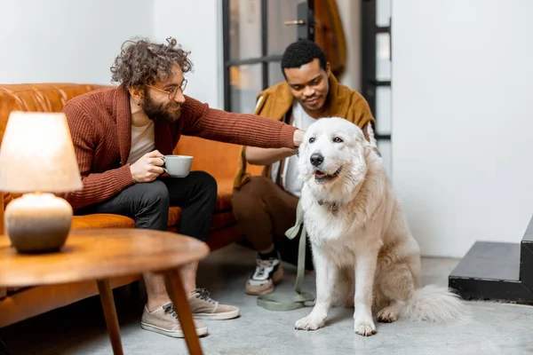 Männer Pflegen Ihren Riesigen Weißen Hund Hause Konzept Homosexueller Beziehungen — Stockfoto