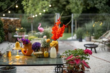 Variety of blooming flowers in vases on table at backyard