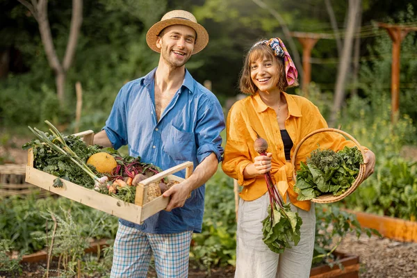 Two cheerful farmers stand together with boxes full of freshly picked vegetables at local farmland. Concept of organic food and sustanable lifestyle