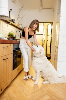 Young woman plays with her huge white dog while cooking healthy food in kitchen at home. Friendship with pets and lifestyle at home concept
