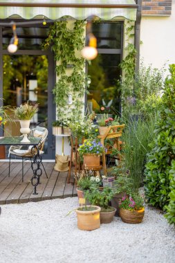 Beautiful and cozy backyard of country house decorated with lots of potted plants and flowers