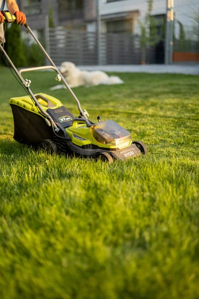 Cordless battery lawnmower mows the lawn on sunset, close-up