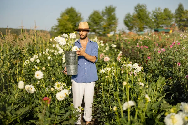 Man Hat Farmer Carries Bucket Full Freshly Picked White Dahlias — Photo