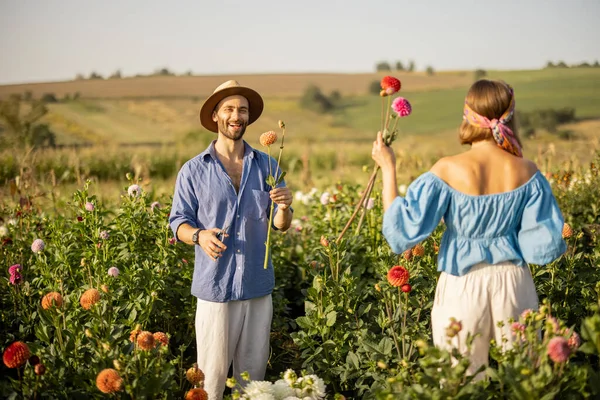 Man Woman Pick Dahlia Flowers While Working Rural Flower Farm — стоковое фото