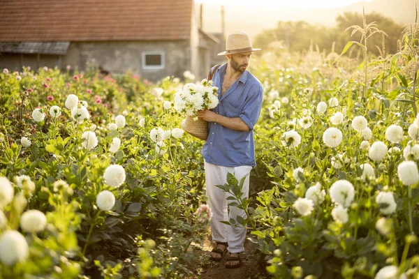 Handsome Man Hat Farmer Carries Bag Full Freshly Picked White — Stockfoto