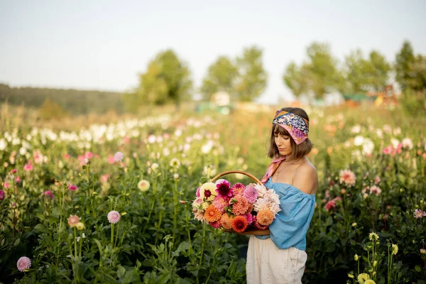 Portrait Woman Farmer Carries Bucket Full Freshly Picked Colorful Dahlias —  Fotos de Stock