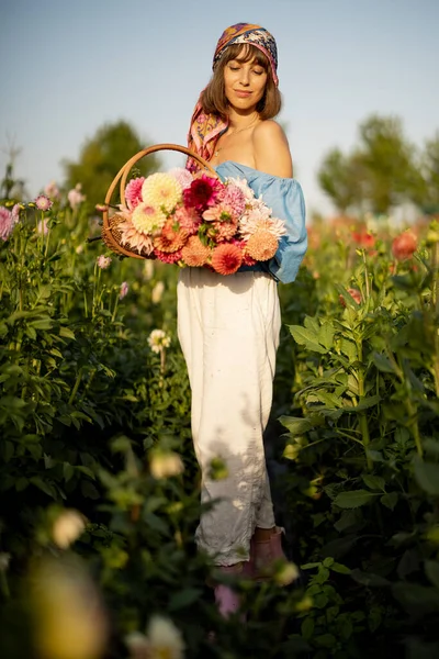 Portrait Woman Farmer Carries Bucket Full Freshly Picked Colorful Dahlias —  Fotos de Stock