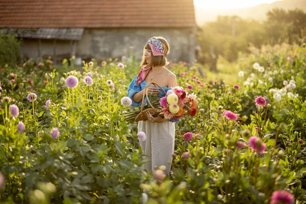 Portrait Young Stylish Woman Stands Basket Full Colorful Freshly Picked — Foto de Stock