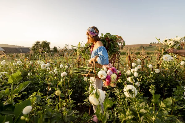 Woman Carries Lots Freshly Picked Flowers Rural Farm Sunset Colorful — Stockfoto