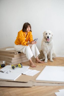 Young woman sits with her cute dog, using phone during repairing at new apartment. Assembling furniture by herself. DIY concept