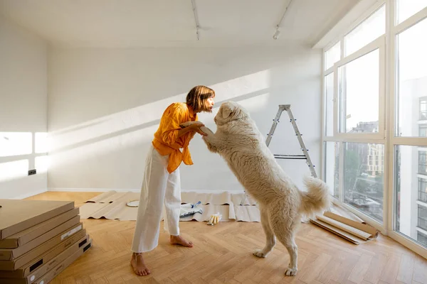 Young Woman Plays Her Dog Room While Making Repairing Apartment — стоковое фото