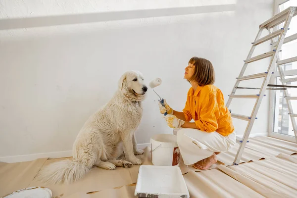 Young Woman Plays Her Dog Room While Making Repairing Apartment — Stockfoto