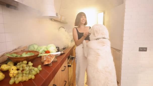 Kobieta Zabawy Bawiąc Się Psem Podczas Gotowania Żywności Kuchni Dymem — Wideo stockowe