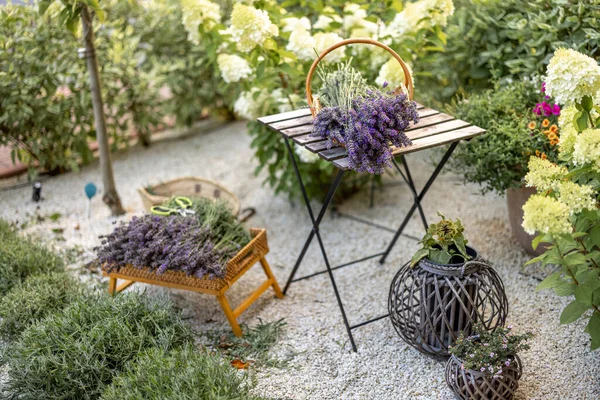 Freshly Picked Lavender Basket Table Garden — Stockfoto