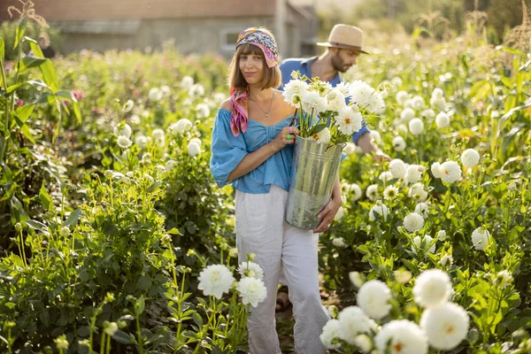 Beautiful Young Couple Farm Workers Pick Dahlia Flowers Rural Farm —  Fotos de Stock